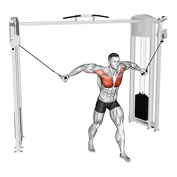 Cable Standing Fly Chest 360p